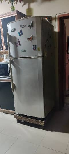 haier refrigerator 0