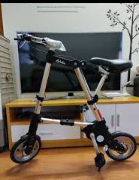 Folding Bicycle-Lightweight and Convenient 2