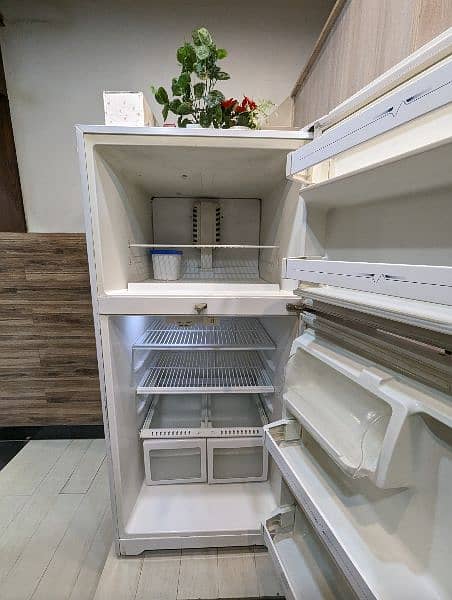 No-Frost Haier Fridge, with amazing cooling. 1