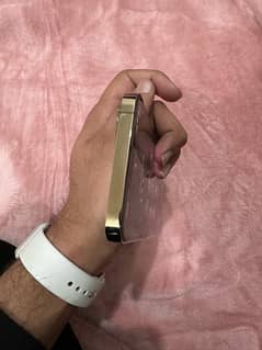 *iphone 13 pro max Gold