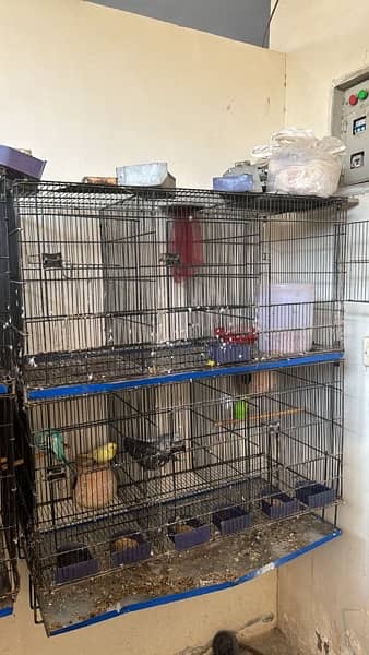Cage For sale 15 portion with buddies 1