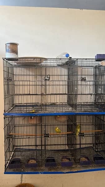 Cage For sale 15 portion with buddies 2