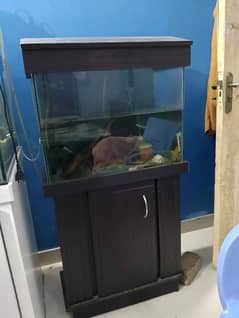 2 feet complete aquarium