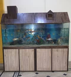 Fish Aquarium 5.5 Feet length