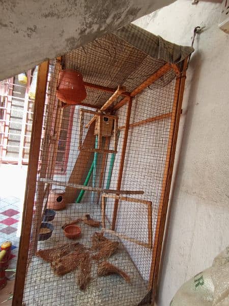 cage for parrots 1