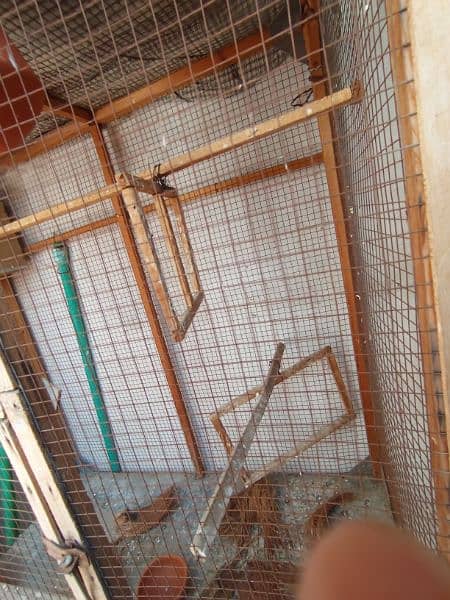 cage for parrots 2