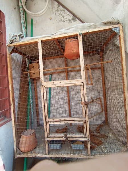 cage for parrots 3
