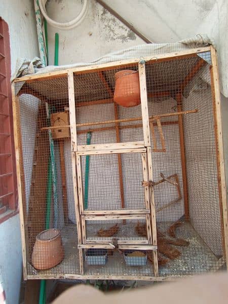 cage for parrots 4