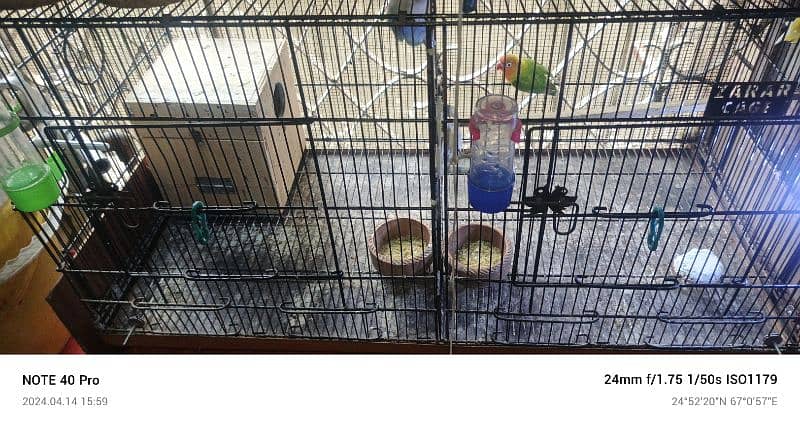 love birds small setup looking for new shelter read add first 3