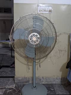 Dawlance pedestal fan in good condition.
