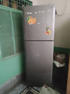 PEL full size fridge
