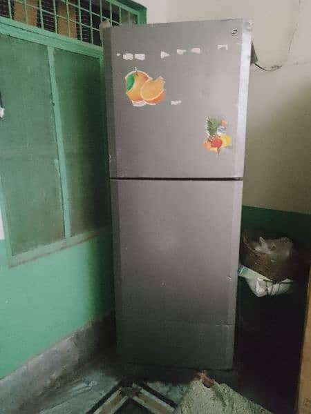 PEL full size fridge 1