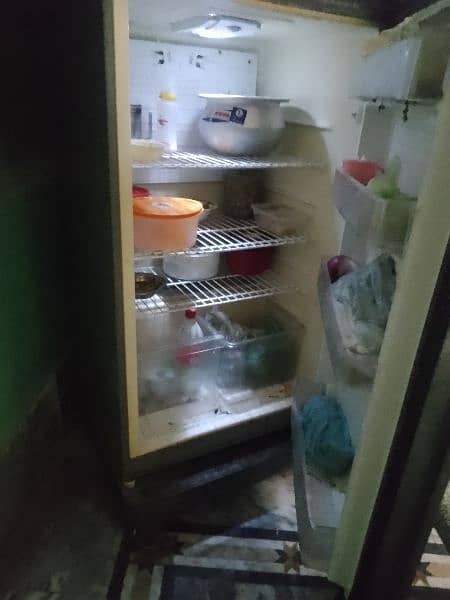 PEL full size fridge 3