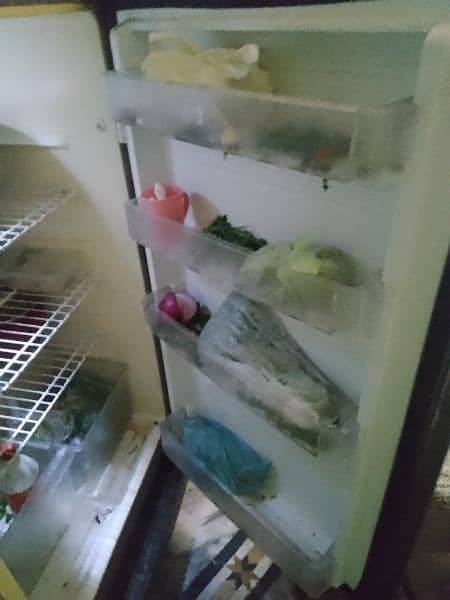 PEL full size fridge 4