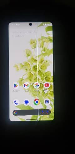 Google pixel 6pro    only Display panel