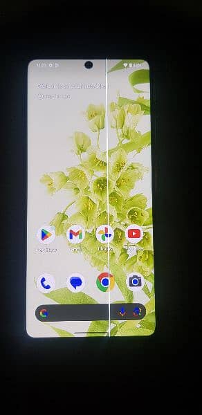 Google pixel 6pro    only Display panel 1