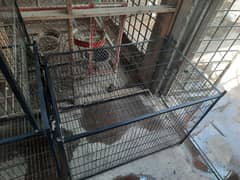 cage for sale 2×2.5×3 feet