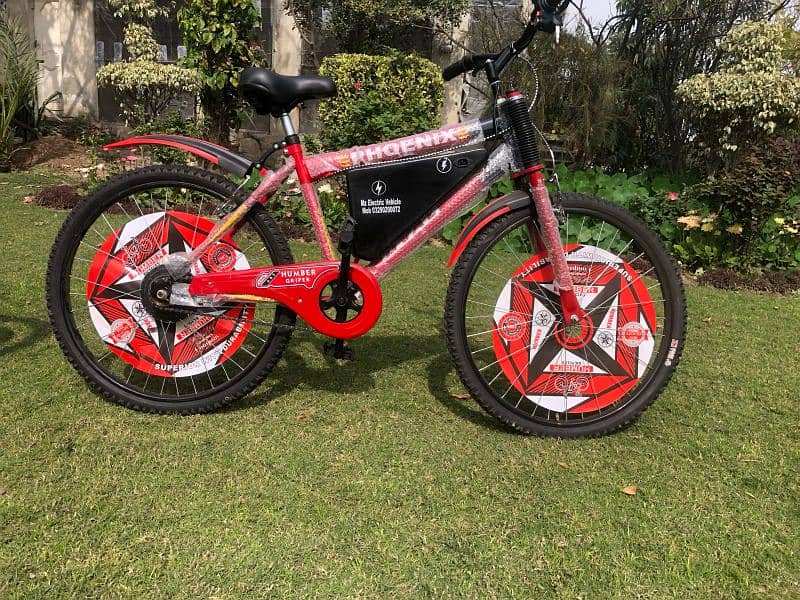 Electric bicycle for sale. Mz Electric vehicle's 1