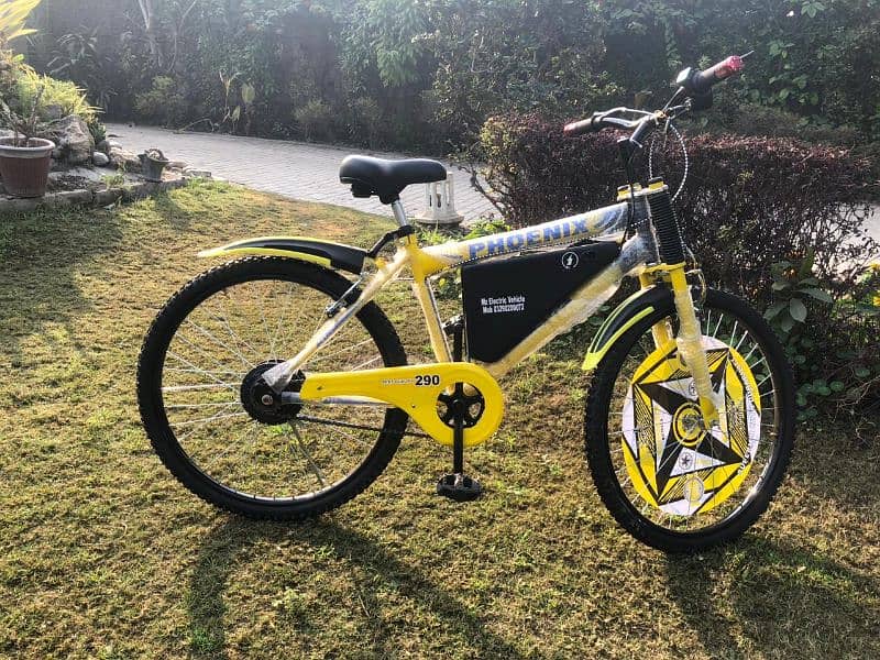 Electric bicycle for sale. Mz Electric vehicle's 3
