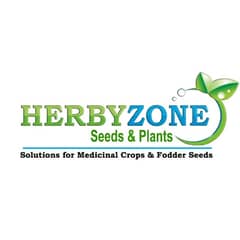 Urgen Female Staff required from Herbyzone in Ichra