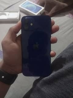 iphone 12.10/10 condition ha battery health 95% water pack ha 128 gb