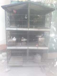 Solid iron cage, 6 ft height, 4.5 chorae