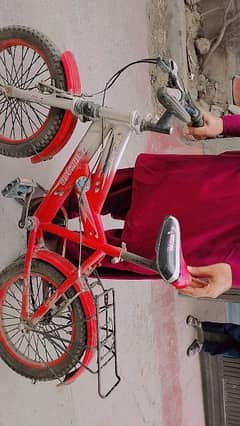 bicycle for kids upto 12 years