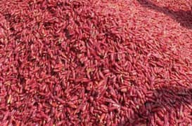 fresh Multani red chilli powder and cursed red pepper Rs570 per Kg