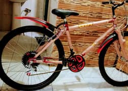 bicycle brand new 1 day used dual gears ful26 size call no 03149505437
