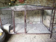 Birds iron cage