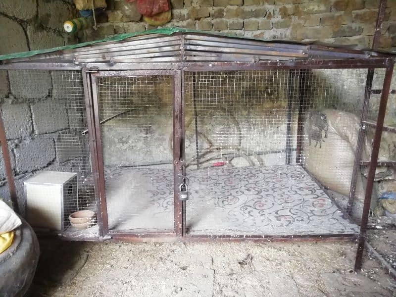 Birds iron cage 0
