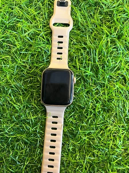 apple watch series 5 44 mm 1
