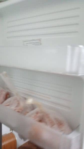 Pel Refrigerator (Fridge) 3