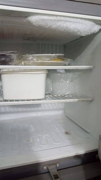 Pel Refrigerator (Fridge) 5
