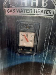 25 gallon geyser gas and electric