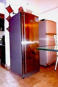 Dawlance Vertical Freezer on it's Original Gas Never Repaired like New 0