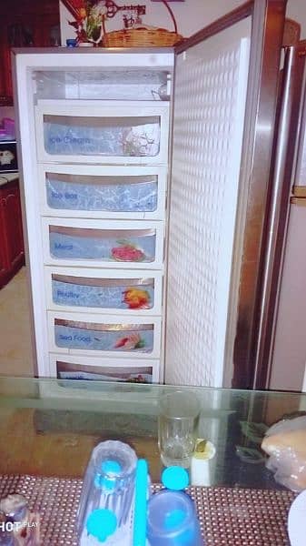 Dawlance Vertical Freezer on it's Original Gas Never Repaired like New 4