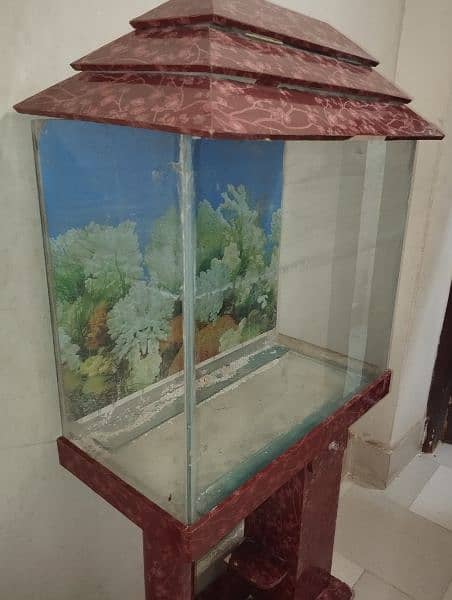 Fish Aquarium For Sell 3