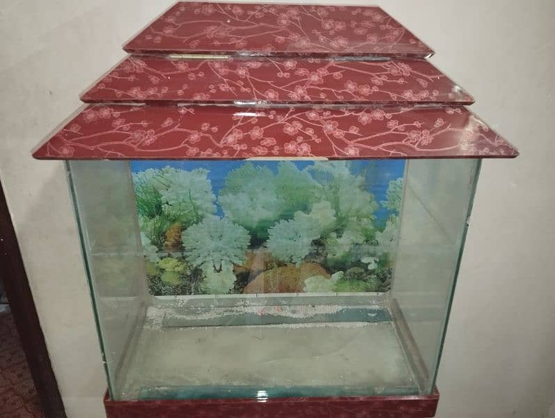 Fish Aquarium For Sell 4