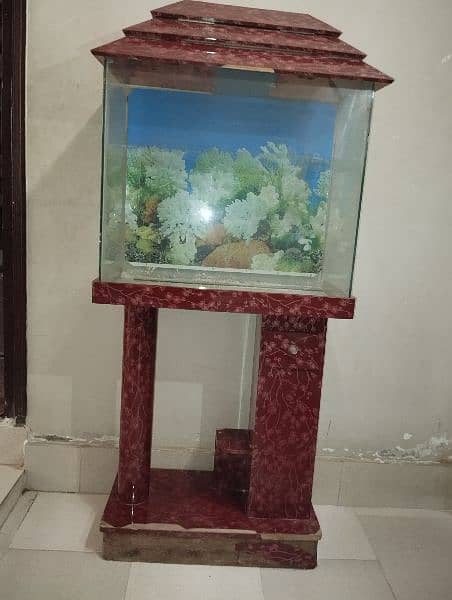 Fish Aquarium For Sell 5