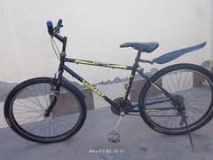 Sport cycle 0