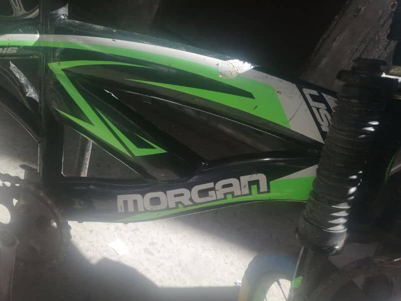 Morgan cycle 3