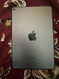 iPad mini 5 panel damage
