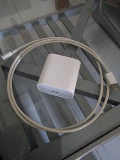 Apple Charger with lighting cable.
