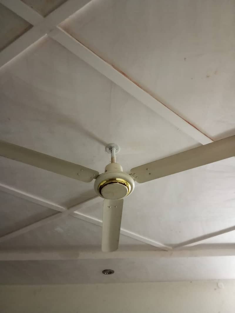 Ceiling fans 5 0