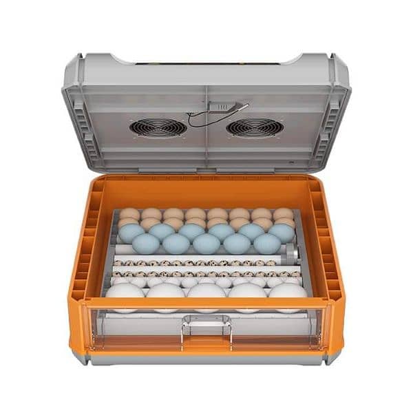 64 eggs intelligent incubator dual power 4