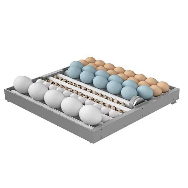 64 eggs intelligent incubator dual power 5