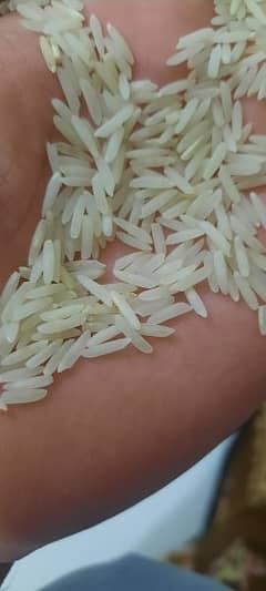 rice super karnal
