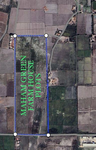 farm house 1000 SQ yard survey land 1