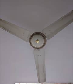 Ceiling Fan Wahid Fan واحد فين Pure Copper